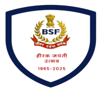 BSF logo